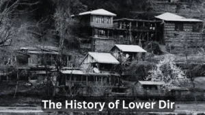 The History of Lower Dir