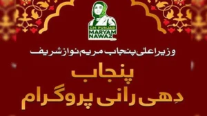 punjab government launches dhee rani program for underprivileged couples 1729493871 7219