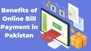 How to Check and Pay electricity Bill Online in Pakistan