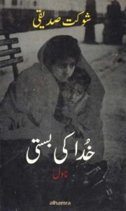 10 Best Novels in Urdu Worth Your Time Must You Read
